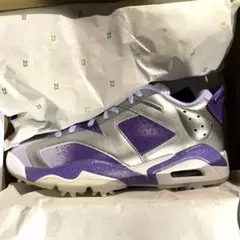 NIKE golf JORDAN RETRO 6G NRG U23ゴルフシューズ