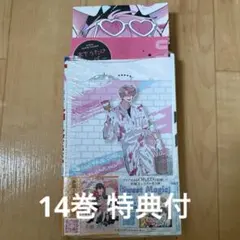 多聞くん今どっち！？14巻 【応募券付き】