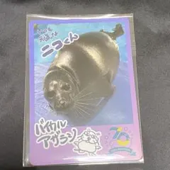 2025年最新】鳥羽水族館 70周年の人気アイテム - メルカリ