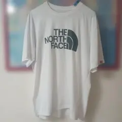 ザ・ノース・フェイス XL カラードームT シャツ THENORTHFACE 白
