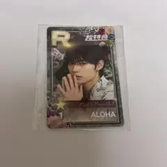 超特急 アロハ シュスエビ リアルカード Rail is Beautiful