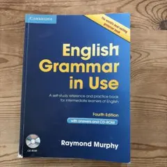 english grammar in use