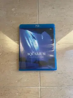 THE AQUARIUM アトランタ ジョージア水族館 Blue-Rey