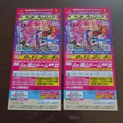 木下大サーカス チケット 2枚セットのサムネイル