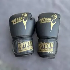 Item thumbnail for item 5e8e146c-652d-4049-a401-590f06418121