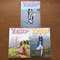 Yogini ヨギーニ セット 本 まとめ売り ヨガ 雑誌 セット Yogini 雑誌セット vol.45-65 10冊セット - メルカリ