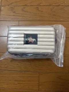 E.YAZAWA ロゴ入り ハードケース トラベルポーチのサムネイル