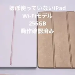 APPLE iPad Air IPAD AIR WI-FI 256GB 指紋認証
