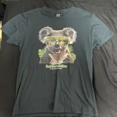 オーストラリアで購入　コアラ　レインフォレストステーション コアラ Tシャツ