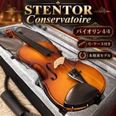 希少】Erich Werner ドイツ製 バイオリン4/4 - メルカリ
