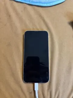 Apple iPhone 12Pro 本体