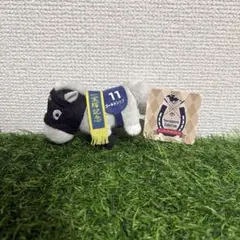 Item thumbnail for item 74aa32bc-5394-4f51-8e73-8e6aefaaca6a