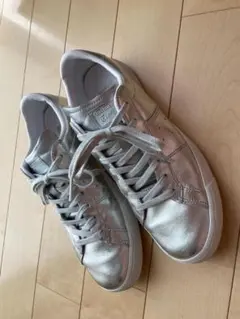 Item thumbnail for item cc690b46-2474-4636-a866-c2b638d0d674