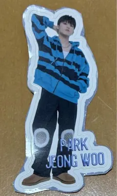 treasure vivi ステッカー　ジョンウ