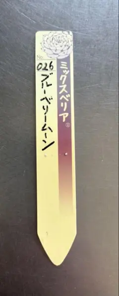 ひなまつり 札のみ ミックスベリア おらいさん苗 多肉植物 - メルカリ