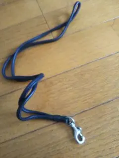 Item thumbnail for item 6aa1e494-7f2c-43b1-8f91-5518a61a9d08