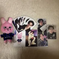 Stray Kids スキズ KARMA SKZOO トゥェッキ チャンビン