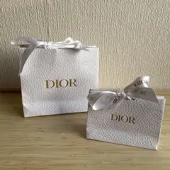 Dior ディオール ショッパー 2個セット