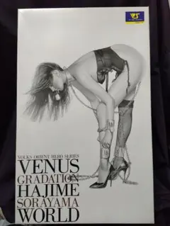 LADY SLAVE～女奴隷～ 1/4 ガレージキット ホビー天国ウェブ限定