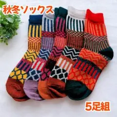【5足組】靴下 ソックス 秋冬 防寒 厚手 保温 抗菌防臭 耐久性 ボーダー