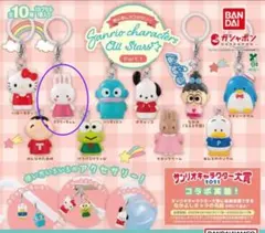 サンリオキャラクターズオールスターズ　めじるしアクセサリー　チアリーチャム