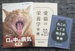 Item thumbnail for item b4479c53-71f1-43bc-993c-5f231606b773