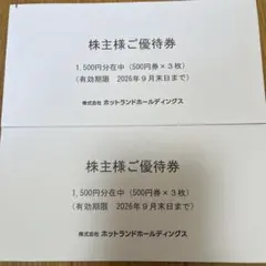 2026年最新】株主優待 ホットランドの人気アイテム - メルカリ