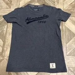 Abercrombie & Fitch 半袖Tシャツ Sサイズ ダークグレー