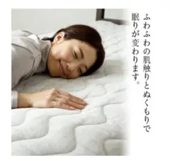 masa様専用 東洋羽毛 電位治療さわここ - メルカリ