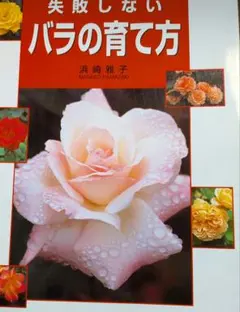 バラの育て方