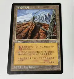 不毛の大地/Wasteland TMP版 日本語　初版