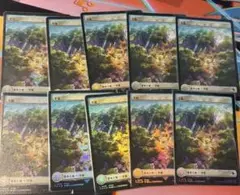 10枚　平地　チョコボトラックフォイル　チョコボバンドル　MTG