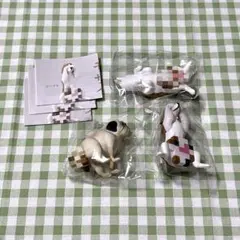 モザイヌ ガチャ シバ パグ ビーグル セット