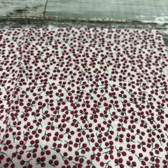 感謝SALE リバティ 26×30cm