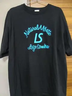【美品】ルースイソンブラ LuzeSOMBRA Tシャツ 送料込み