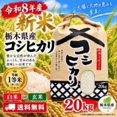令和8年　新米　大分県産コシヒカリ白米20㎏キお米10㎏キロこめロ ×2 小分け 令和8年 新米 大分県産コシヒカリ白米20㎏キお米10㎏キロこめロ ×2