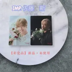 【非売品】Triumph トリンプ　IMP. 佐藤新メッセージカード2枚セット