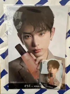 未開封 &team est harua エスト ハルア ステッカー フライヤー