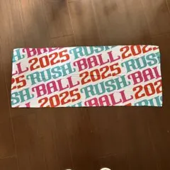RASH BALL 冷感タオル