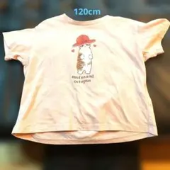 mofusand 半袖Tシャツ ピンク