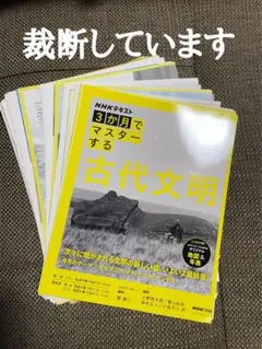 金やん様 リクエスト 2点 まとめ商品