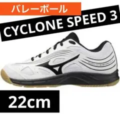 Item thumbnail for item fc4f3115-8ac7-4ebb-ac22-55b5d4b6af85