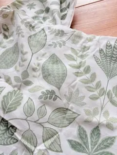 Item thumbnail for item 37d81b4e-5fe0-4691-9285-3ef184394dcc