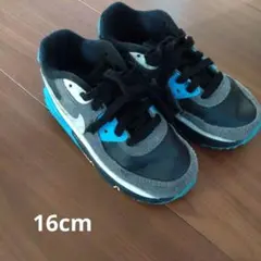 Nike キッズスニーカー ブラック/ブルー