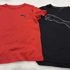 プーマ Tシャツ 2枚セット 赤 黒