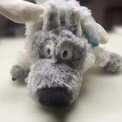 Item thumbnail for item c70b9184-7a6b-4605-b019-b520d262d932