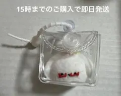 nununeko いちごわんちゃん 粉付き スクイーズ