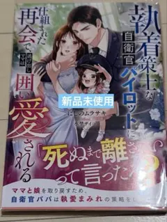 ベリーズ文庫9冊セット6月新刊☆にしのムラサキ田沢みん吉澤紗矢月城