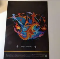 Mega Lizardon Y & X クリアファイルセット ポケモン