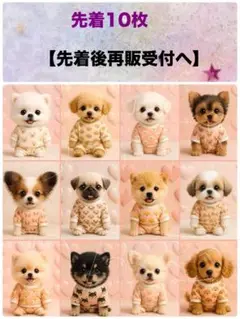 新柄‼️犬柄【先着10枚】12枚パネル生地　パジャマわんこ